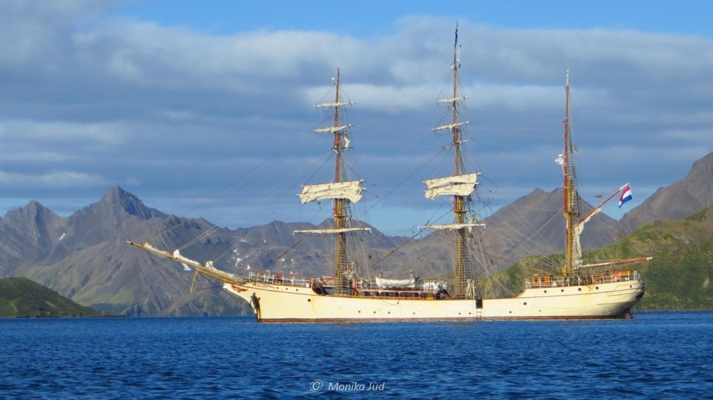 Bark Europa vor Anker in der Stromness Bay